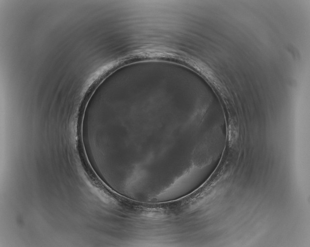 X0000110950438200906261324