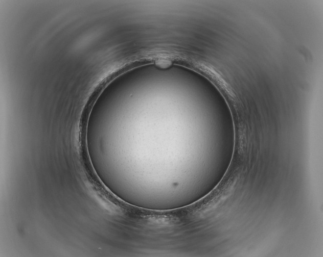 X0000110950439200906261324