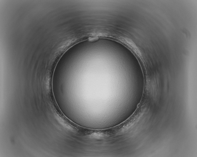 X0000110950441200906261324