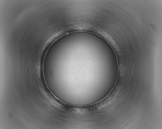 X0000110950442200906261324