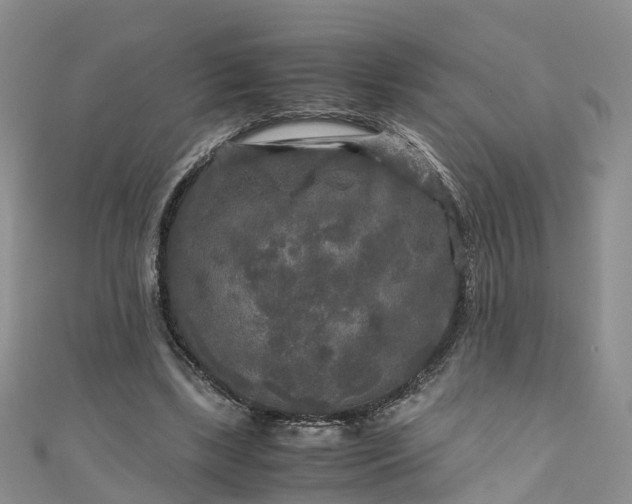 X0000110950443200906261324