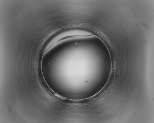 X0000110950444200906261324