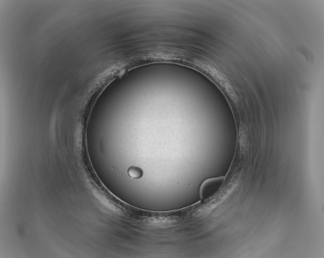 X0000110950445200906261324