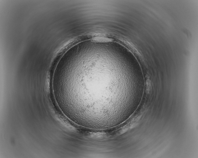 X0000110950446200906261324