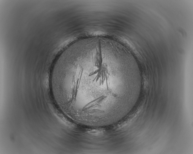 X0000110950447200906261324