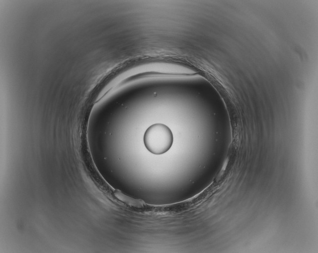 X0000110950448200906261324