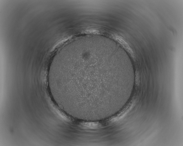 X0000110950449200906261324