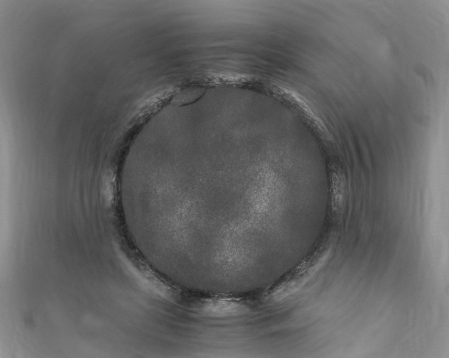 X0000110950451200906261324