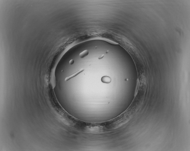 X0000110950452200906261324