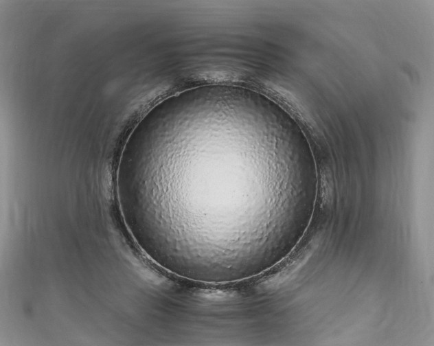 X0000110950453200906261324