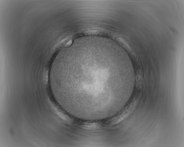 X0000110950454200906261324