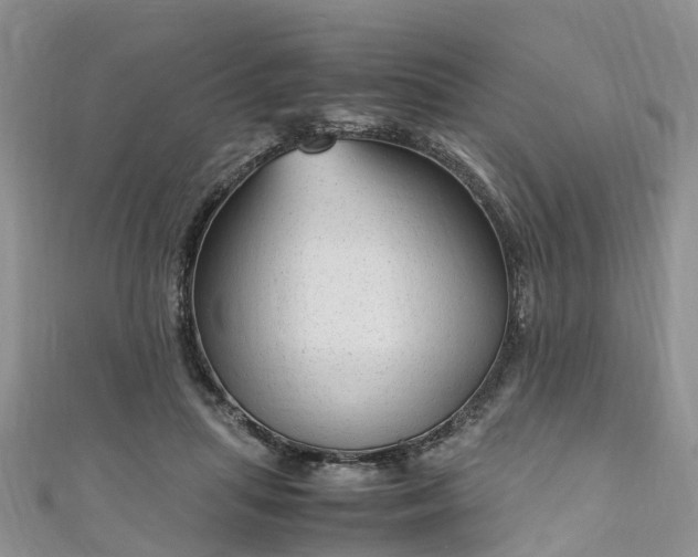 X0000110950455200906261324