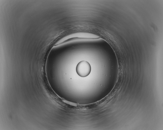 X0000110950456200906261324