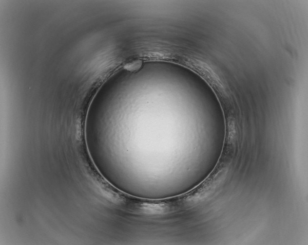 X0000110950457200906261324