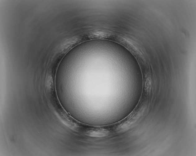 X0000110950459200906261324