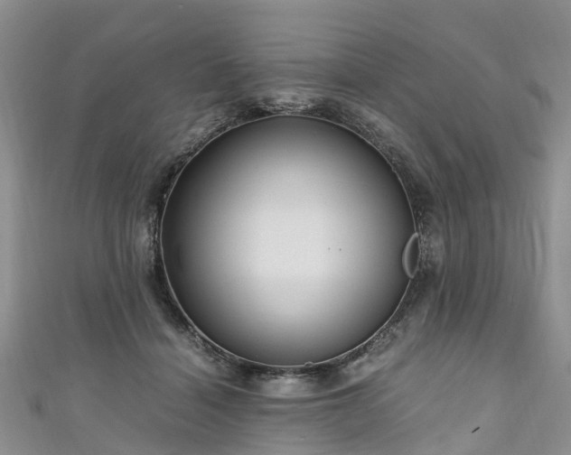 X0000110950460200906261324