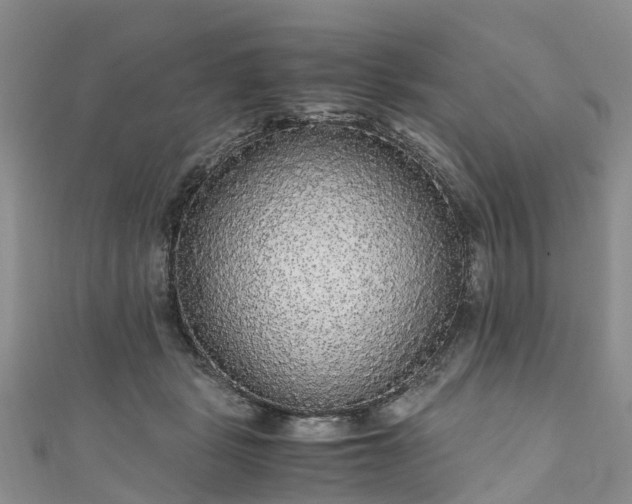 X0000110950461200906261324