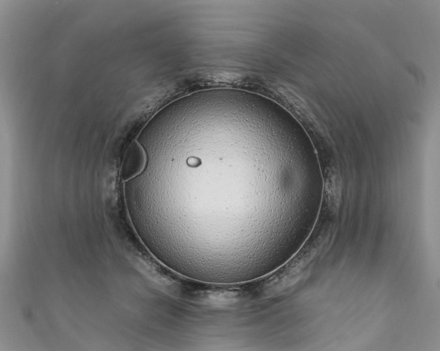 X0000110950462200906261324