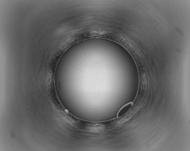 X0000110950463200906261324