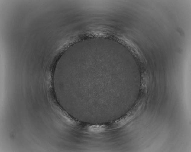 X0000110950465200906261324