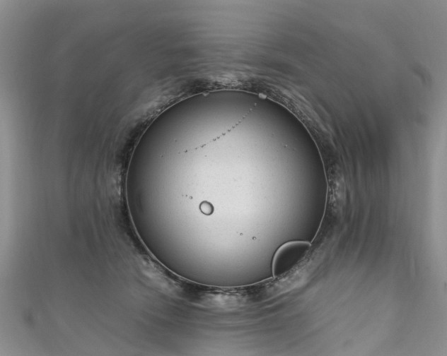 X0000110950466200906261324