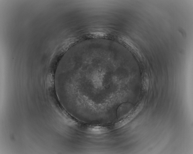 X0000110950467200906261324