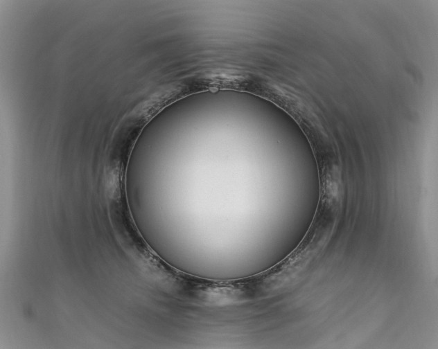 X0000110950468200906261324