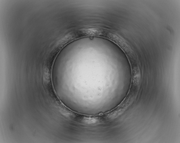 X0000110950469200906261324