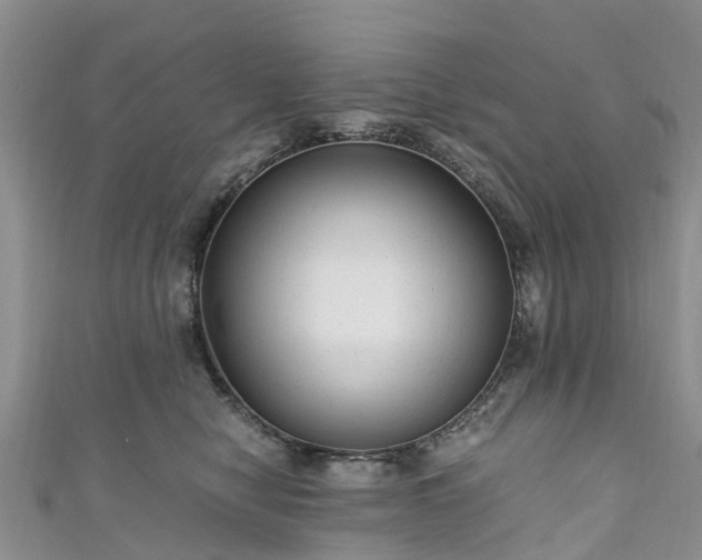 X0000110950470200906261324