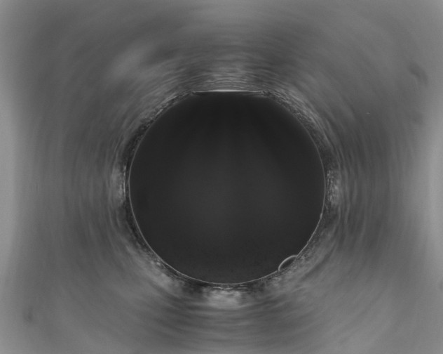 X0000110950471200906261324