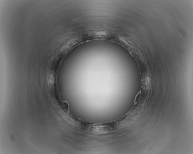 X0000110950472200906261324