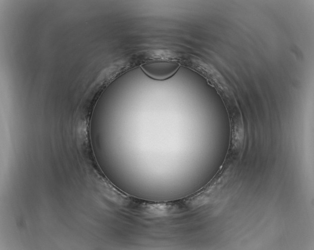 X0000110950473200906261324