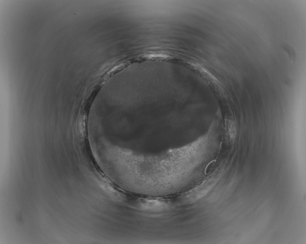 X0000110950475200906261324