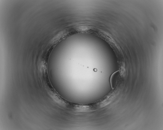 X0000110950476200906261324