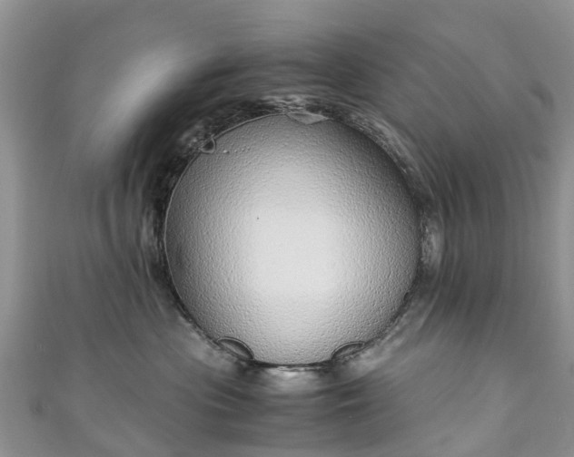 X0000110950477200906261324