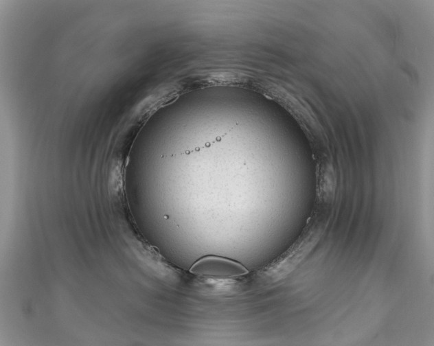 X0000110950478200906261324