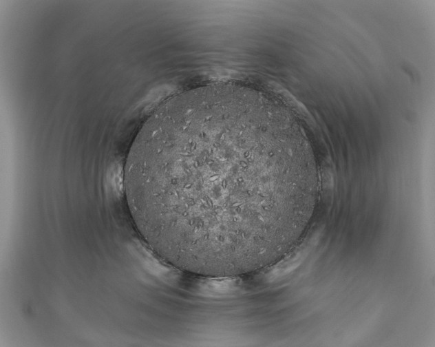 X0000110950479200906261324