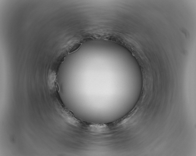 X0000110950480200906261324