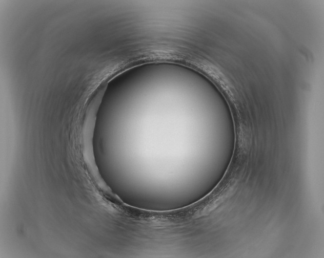 X0000110950481200906261324