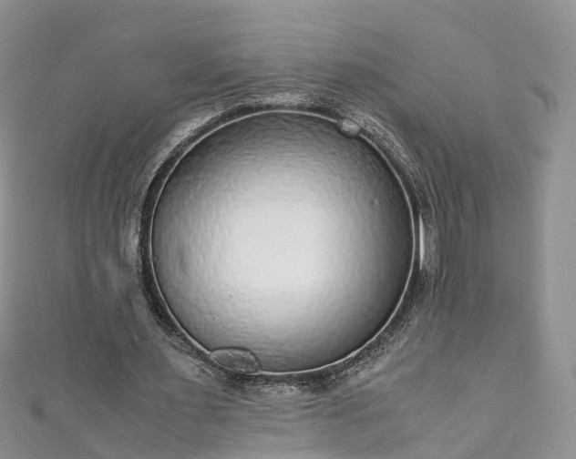 X0000110950483200906261324