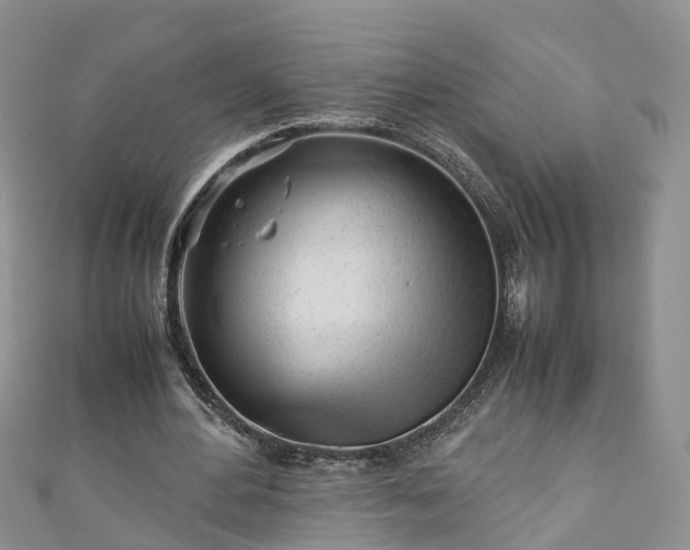 X0000110950484200906261324