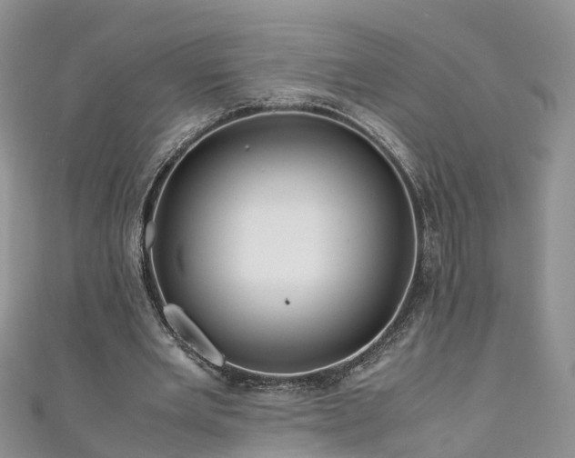 X0000110950485200906261324