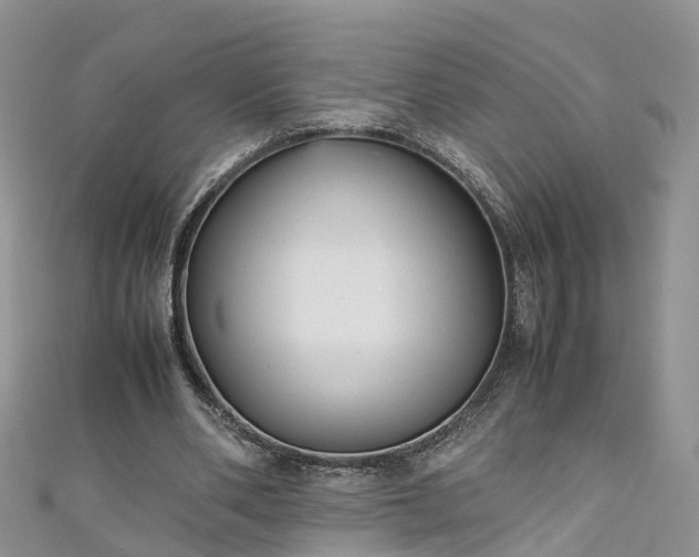 X0000110950486200906261324