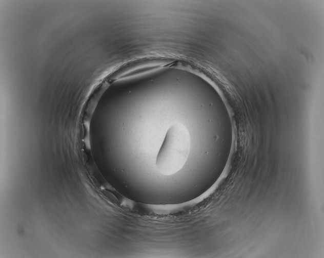 X0000110950488200906261324