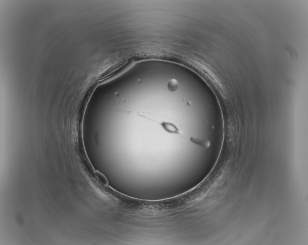 X0000110950489200906261324