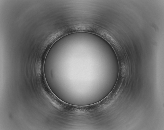 X0000110950490200906261324