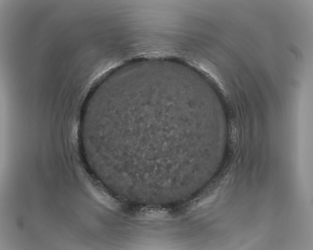 X0000110950491200906261324