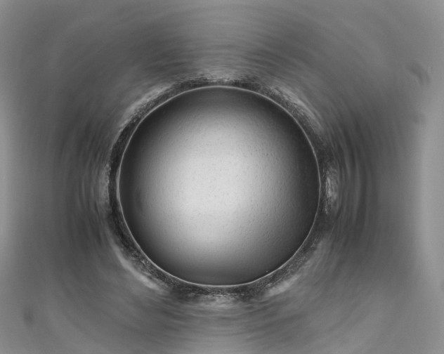 X0000110950492200906261324