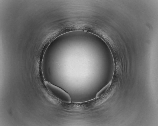 X0000110950493200906261324