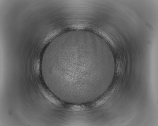 X0000110950494200906261324